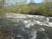 Blick nach Westen zur Dreisam beim Wasserwerk Ebnet am 12.4.2008