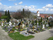 Blick nach Norden über den Gottenheimer Friedhof am 13.4.2008