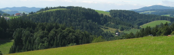 Blick vom Kohlplatz und Dominikhof (rechts rot) nach Norden bers Wildgutachtal zu Neuhusle, Hornberg, Saubur und Kandel (von links) am 25.8.2008