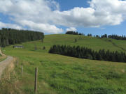 Blick vom Pirmin-Kleiser-Denkmal nach Sdosten zum Ahornkopf am 5.8.2008 - Baumstumpf neben der Viehhtte