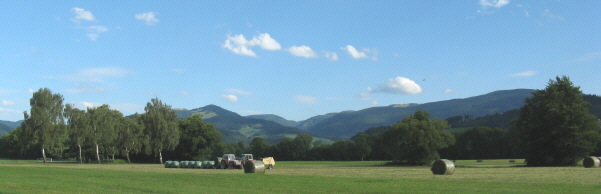 Blick vom Krüttweg im Dreisamtal nach Osten zu Hinterwaldkopf, Tote Mann und Hohfahrn (von links) am 18.8.2008 - Heuernte
