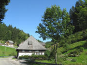 Blick nach Osten zur Sgmhle am 25.8.2008