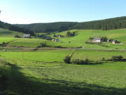 Blick vom Fallerslochweg nach Norden zu Fallerhof, Frnzleshof und Mooshof (von links) an 15.8.2008