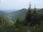 Blick vom Dr.Ganter-Weg nach Westen bers Zastlertal am 31.8.2008