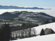 Tele-Blick vom Kernewiesenhof nach Westen über Bushäusle und Lindenberg zum nebligen Dreisamtal am 23.12.2008