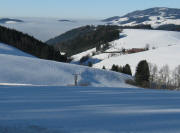 Blick von der Spirzenstrasse nach Norden ber den Pfndlerhansenhof bis zum Kandel am 16.12.2008