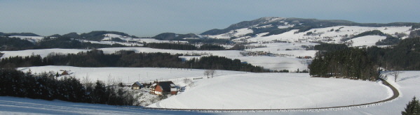 Blick nach Nordwesten über Steigweg und Steig mit Rotenbauernhof zu Lindenberg (links), St.Peter und Kandel am 8.12.2008