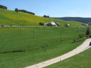 Blick vom Zipfelhusle am 11.5.2008 nach Sden zu Behringehof (links), Kettererhof und Hilpertenhof (rechts)