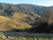 Blick von Burstel nach Osten bers kleine Wiesental an den Gegenhang oberhalb Holl am 8.2.2008