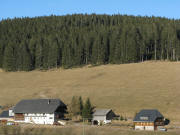 Blick nach Norden zum Mattenhof am 18.2.2008