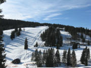 Blick nach Sden zum Zellerhang am 11.1.2008