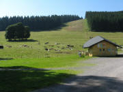 Blick nach Sden ber den Lift am Schwarzenbach am 25.7.2008