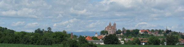Blick nach Westen auf Breisach und den Eckartsberg (links) am 4.7.2008