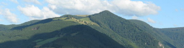 Tele-Blick von der Immi ob Dietenbach nach Osten zu Häusleberg (vorne), Roteck und Hinterwaldkopf am 3.8.2008