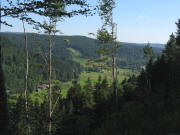 Blick nach Norden zwischen ulemer Kreuz und Rohtte gen ule am 24.7.