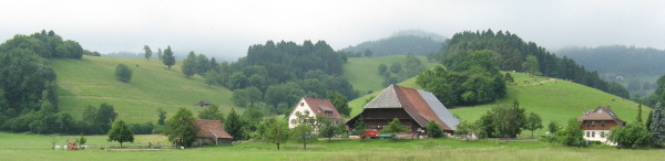 Blick nach Süden in Dietenbach über den Jungbauernhof zur Immi am 8.6.2008