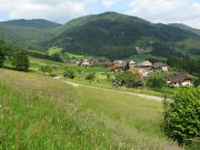 Blick nach Westen ber Prg zum Nollenkopf 1163 m am 19.6.2008