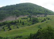 Blick nach Nordosten zum Buck stlich von Prg am 19.6.2008