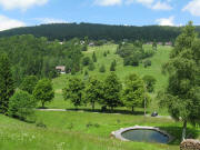 Blick von Rtte nach Westen hoch zu Prestenberg am 19.6.2008