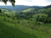 Blick vom Hochkopfhaus nach Sdosten gen Todtmoos-Weg am 19.6.2008