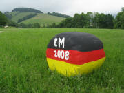 Blick nach Südosten ins Weilersbach bei Oberried am 8.6.2008 - Strohballen für Fans