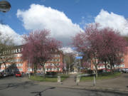 Blick nach Nordwesten zum Tennenbacher Platz am 5.3.2008