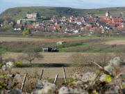 Blick vom Henkenberg am 15.11.2008 nach Norden auf Burkheim und den Burgberg
