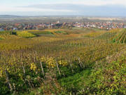 Blick von Gausberghtte am 15.11.2008 nach Westen auf Knigschaffhausen 