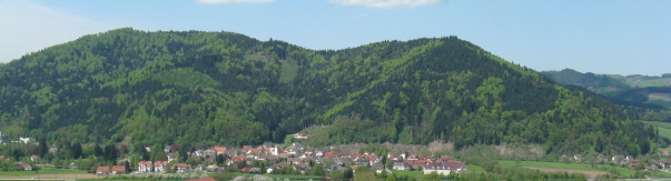 Blick von Riedern nach Norden auf Gutach im Elztal am 3.5.2008 - rechts hoch in Richtung Siegelau