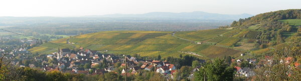Blick nach Nordwesten über Ebringen, Sommerberg bis zum Kaiserstuhl am 19.10.2008