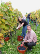 Weinprinzessin Michaela Baldinger mit BM Volker Kieber am 20.10.2008