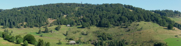 Blick nach Norden über den Schniederlihof zum Schauinsland-Massiv am 24.8.2008