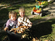 Laub der Kastanie sammeln am 19.10.2008