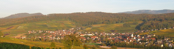 Blick nach Nordost vom Batzenberg auf Pfaffenweiler im Schneckental am 19.10.08 - Schönberg links, Schauinsland rechts