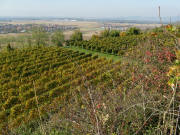 Blick vom Tuniberg nach Nordwesten auf Oberrimsingen (links) und Niederrimsingen am 25.10.2008