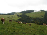 Blick nach Nordosten zum Stollenbach am 3.10.2008 - ein Tag vor dem Viehabtrieb gibts Schnee