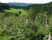 Blick vom Fischbacher Weg nach Westen gen Holzmatten am 9.9.2008