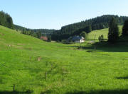 Blick vom Winterhalderhof nach Süden  zum Hochbauernhof und Skihang Stollenwald am 25.8.2008