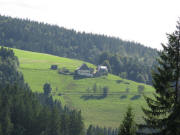 Tele-Blick von der B 500 bei Neukirch nach Sdwesten zum Kohlplatzhof am 13.8.2008