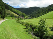 Blick nach Osten zum Nonnenbachhof 