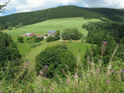 Blick nach Norden zum Obernonnenbachhof am 13.8.2008