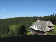 Blick nach Norden übers Häusle am Steinberg am 13.8.2008