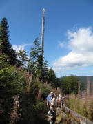 Am Weg vom Hasenhorn-Berghotel hoch zum Hasenhornturm am 27.8.2009 - ein Mobilfunkmast