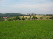 Blick vom Mussbach nach Norden auf Obere Berg am 4.6.2007