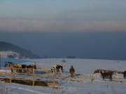 Tele-Blick vom Haldenmeierhof nach Nordosten zum nebligen Dreisamtal am 27.1.2009 um 16 Uhr