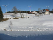 Blick nach Norden zum Plattenhof am 12.1.2009