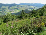 Blick vom Blößling am 29.7.2009 nach Südosten ins Bernauer Tal