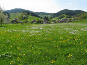 Blick vom Rssle nach Sden ins Dietenbach am 1.Mai 2009 - Jungbauernhof links, Maierhof rechts