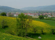 Tele-Blick vom der Anhhe beim Joxenhof in Hfen nach Westen auf Kirchzarten am 1.5.2009