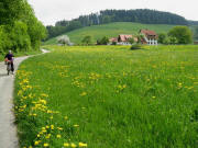 Blick nach Osten zum Thomashof am 1.5.2009